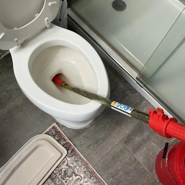 Toilet auger working a clog out of the bowl.