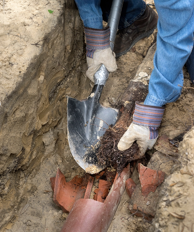 Clog Heroes - Roots in Sewer Line