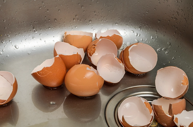 Clog Heroes - Egg Shells in Garbage Disposal