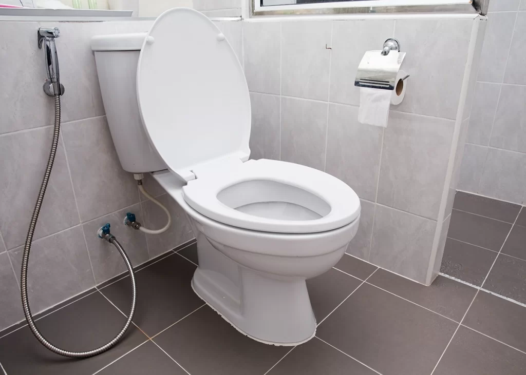 pressure assisted toilet