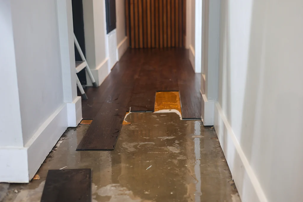 Slab leak detection for water pooling on a hallway floor from a hidden plumbing leak