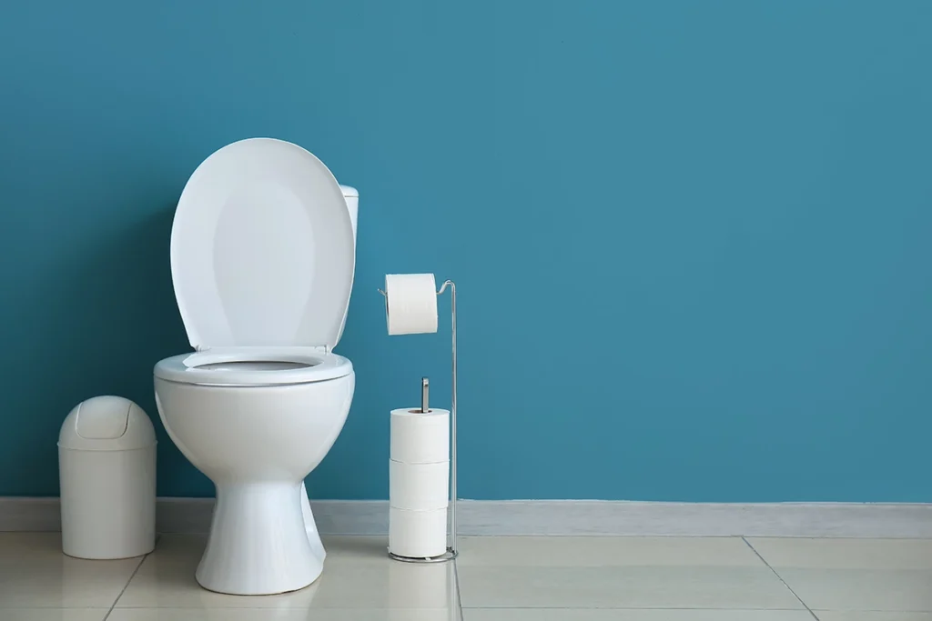 toilet leaking at base